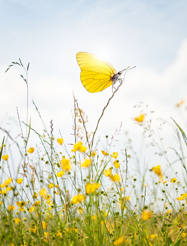Gaz plus pour une chaleur plus respectueuse du climat